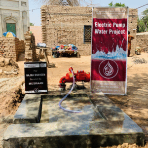 WATER PROJECT - PUNJAB - ELECTRIC WATER PUMP