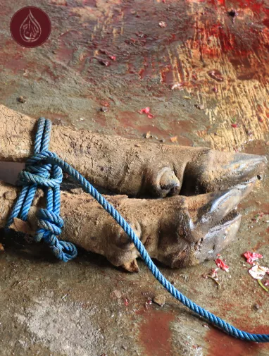 Eid al Adha Feast of The Sacrifice | Donate with As-Siraj