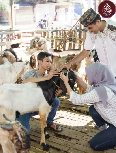 Do Your Own Qurbani UK | Donate Qurbani Online with As-Siraj